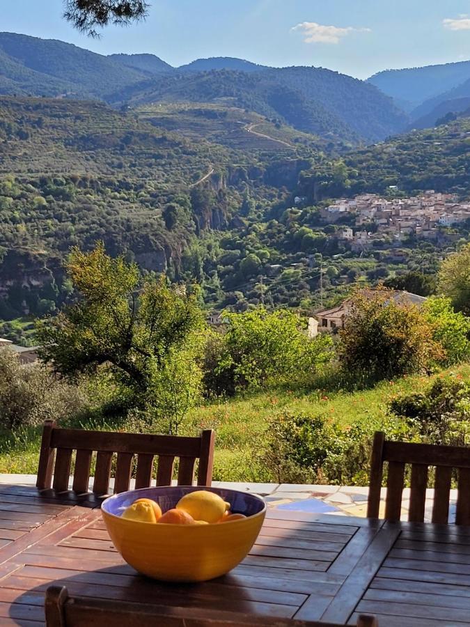 Bed & Breakfast Cortijo El Pino Retreat *