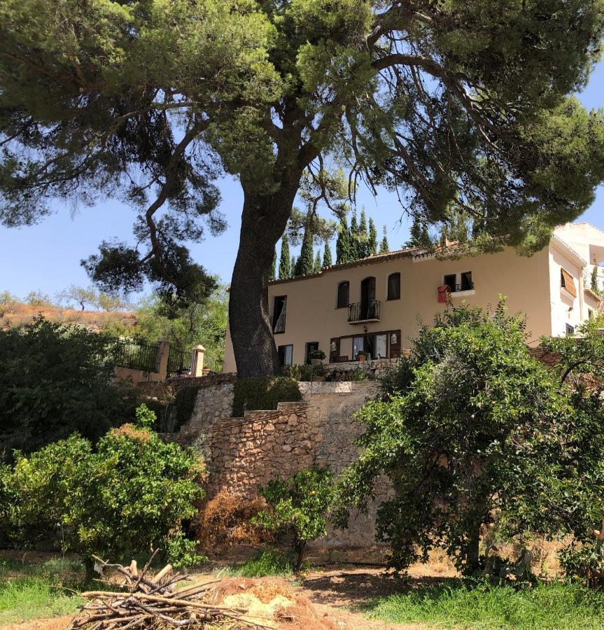 Cortijo El Pino Retreat Bed & Breakfast *