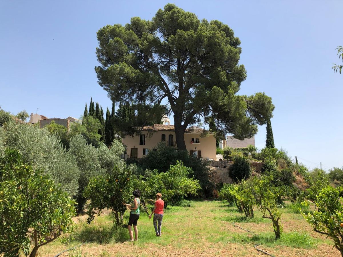 Bed & Breakfast Cortijo El Pino Retreat Albunuelas