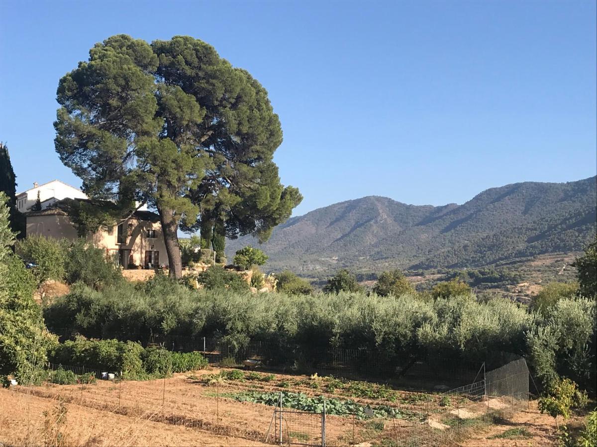 Cortijo El Pino Retreat