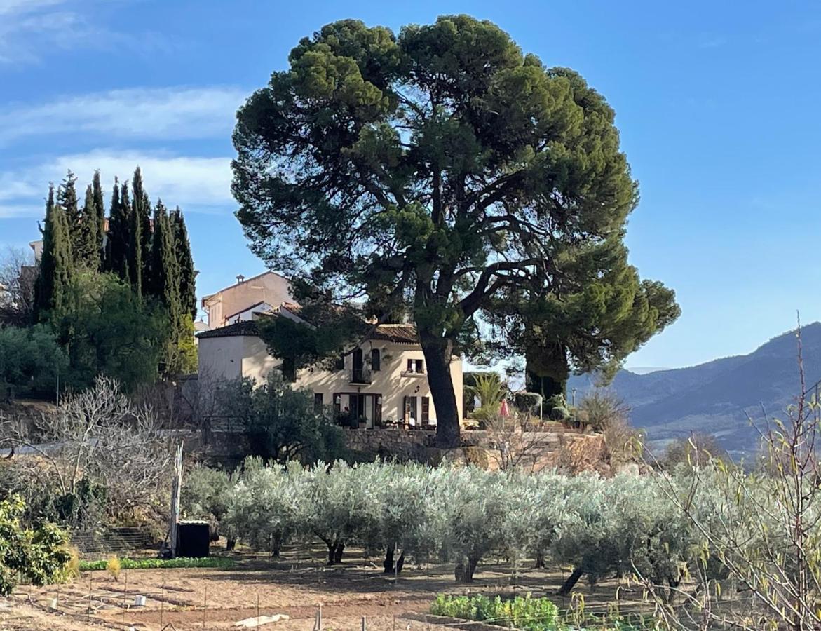 Bed & Breakfast Cortijo El Pino Retreat